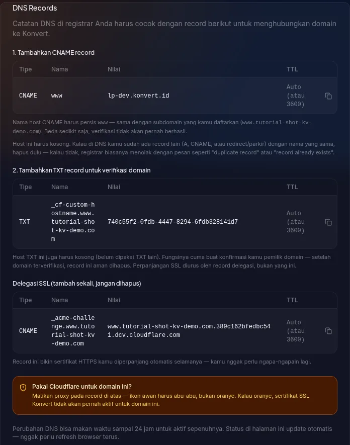 Bagian DNS Records di halaman detail domain — tabel CNAME traffic, TXT verifikasi, dan CNAME delegasi SSL