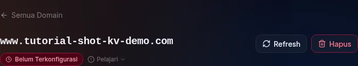 Header halaman detail domain — badge status berwarna dengan tombol Refresh dan Hapus